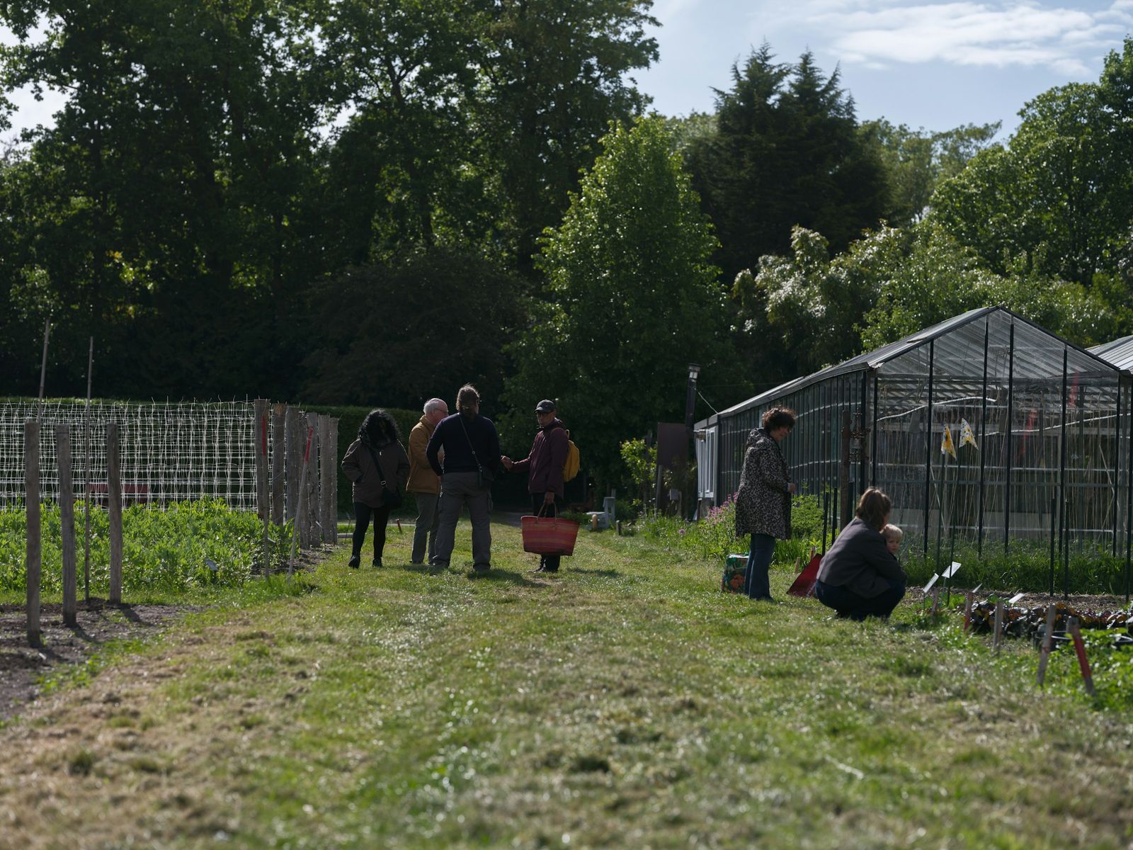 People talking and tending beds in a community garden beside a greenhouse