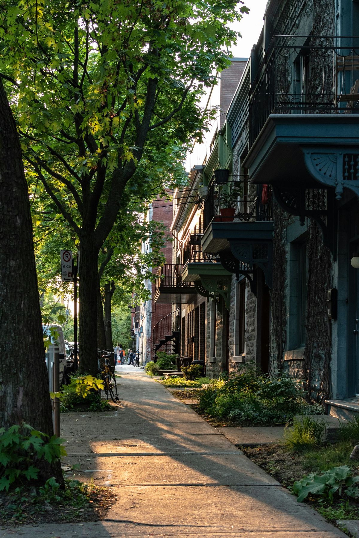 A tree-lined Montréal street with exterior staircases